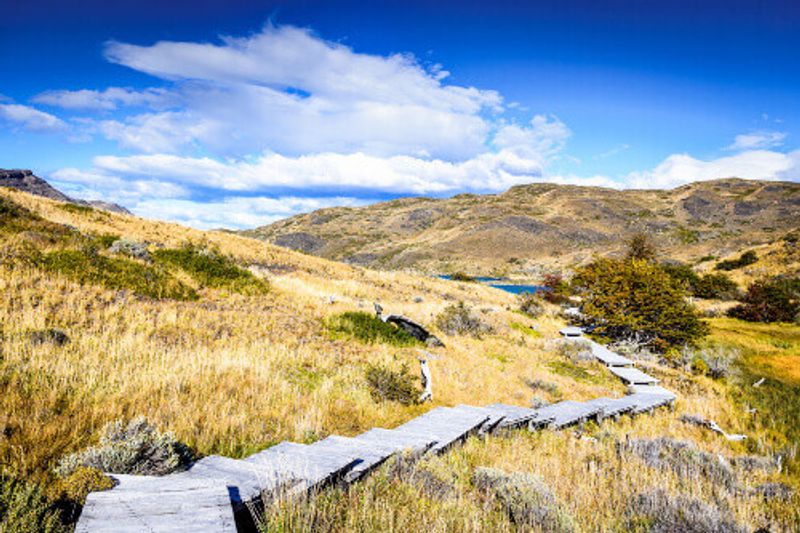 An autumn steppe landscape in Patagonia with Lago el Toro in Torres del Paine, Chile.