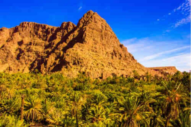 A beautiful Palm oasis near Tinerhir, Morocco.