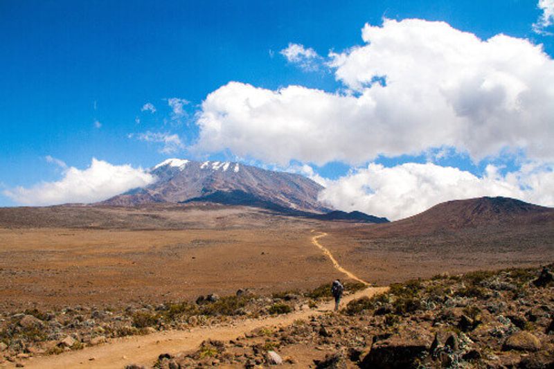 A tourist hiking in Mount Kilimanjaro.