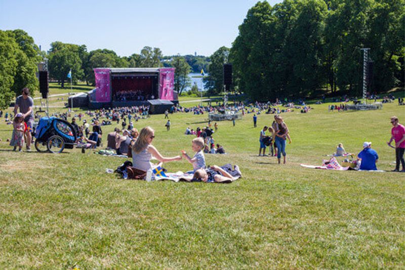 People enjoying the celebration of Swedens National Day in the Royal City National Park in Stockholm.