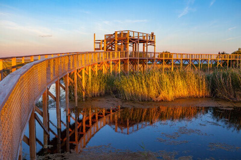 A boardwalk in the Parnu coastal meadow hiking trail.