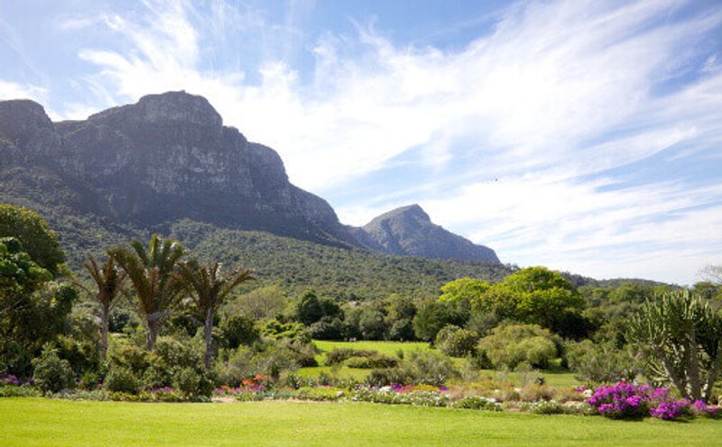 The lush Kirstenbosch National Botanical Garden in Cape Town.