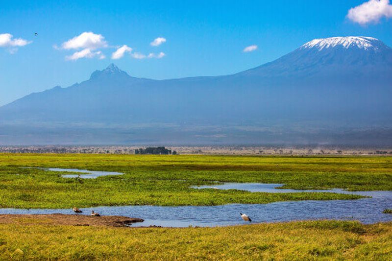 mboseli Lake with Mount Kilimanjaro in the background in the Amboseli National Park.