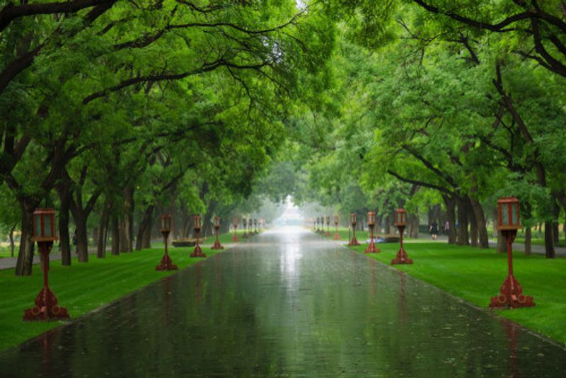 The gardens at the Temple of Heaven.