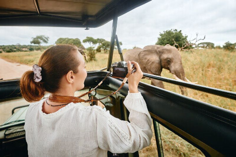 Female tourist on safari in Africa, watching wild animals in the savannah.