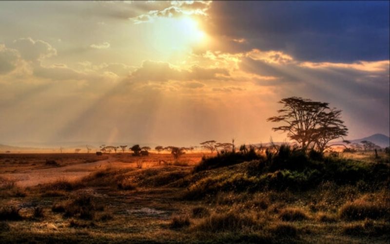 Against the stunning sunset, Chobe Natural Park sprawls outwards.