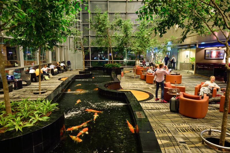 Changi Airport features a zen garden with Koi