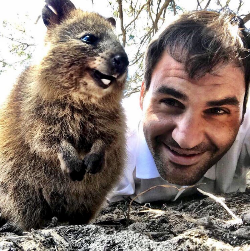 Roger Federer snaps a quokka selfie. Credit: Instagram @rogerfederer