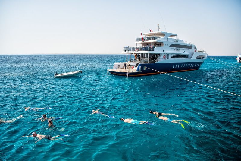 Group of tourists with diving masks and snorkeling underwater in Hurghada