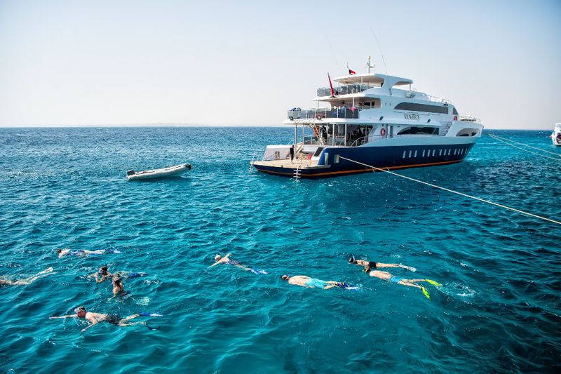 Group of tourists with diving masks and snorkeling underwater in Hurghada