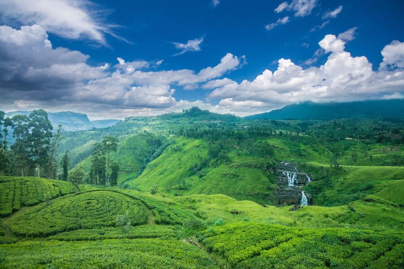The sprawling tea plantations of Nuwara Eliya, Sri Lanka are a must-see sight.