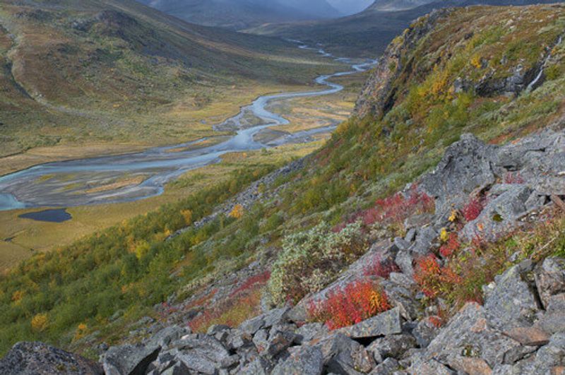 The River Rahpaaedno or Rapadalen in Sarek National Park a UNESCO World Heritage site, in Lapland.