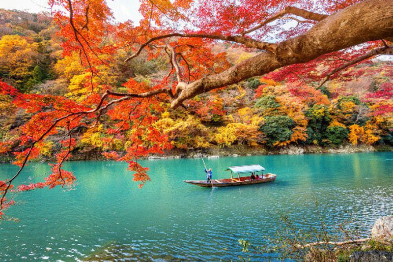 Boatman in Arashiyama during autumn in Kyoto, Japan.