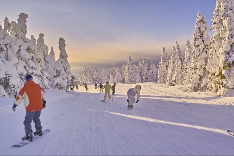 Skiiers in Yamagata