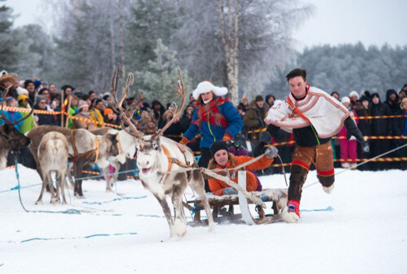 Sami Reindeer racing in Jokkmokk.