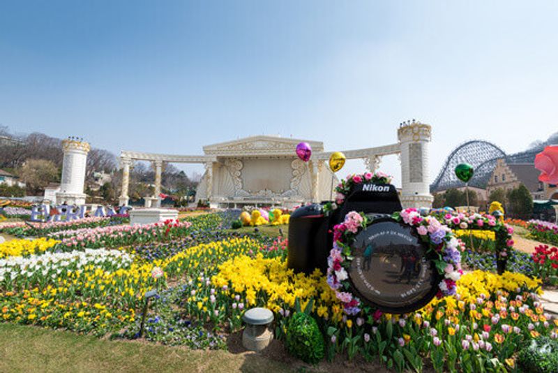 The colourful Tulip Festival at Everland Theme Park in Yongin, South Korea.
