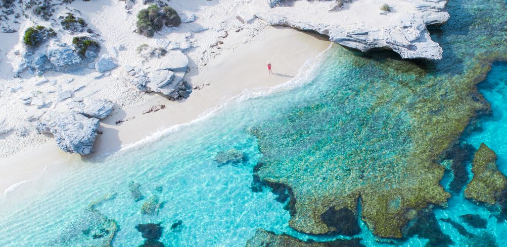 Everything you need to know about: Rottnest Island