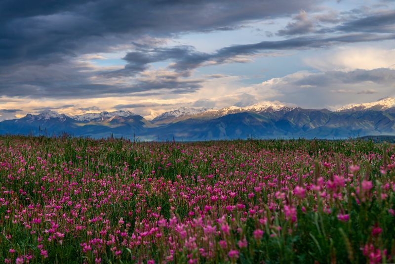 Tian Shan mountains in Kyrgyzstan