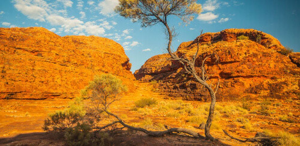 5-day-outback-australia-inspiring-vacations