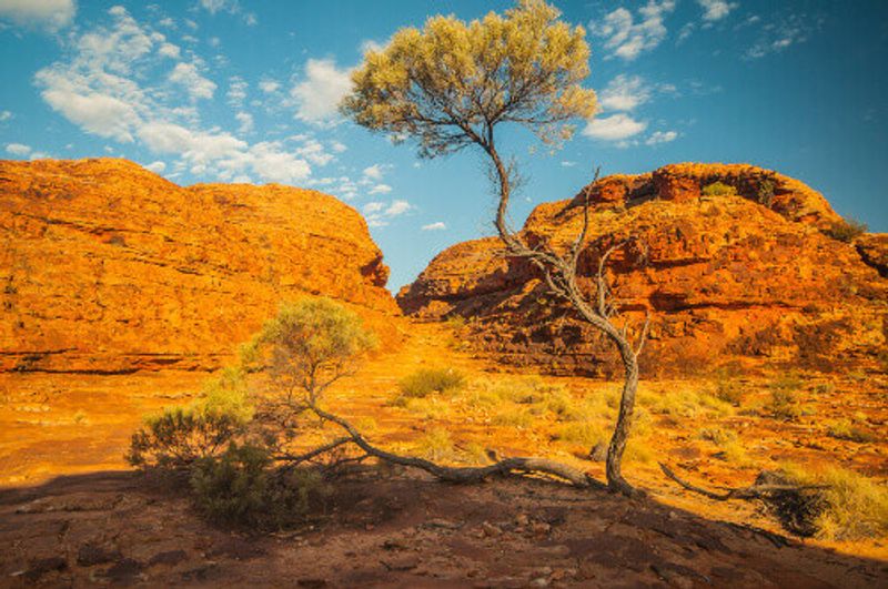 Ancient sand dune and rock formations along the Kings Canyon Rim Walk.