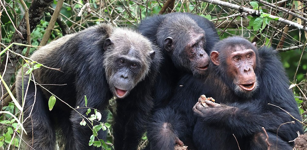 31 Day Grand Africa Small Group Tour