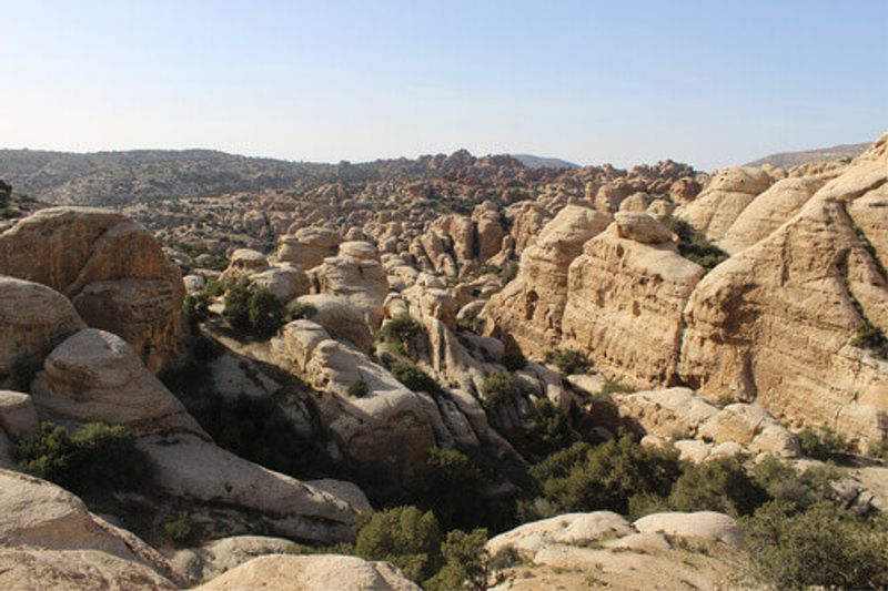 Beautiful rock formations with plants and trees in the Dana Biosphere Reserve.