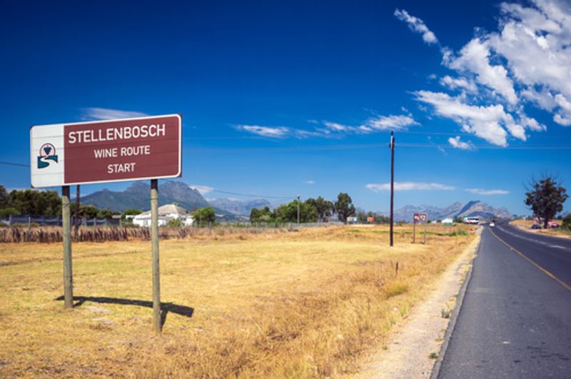 The Stellenbosch wine region, South Africa, is worth visitng for the great vinyards.
