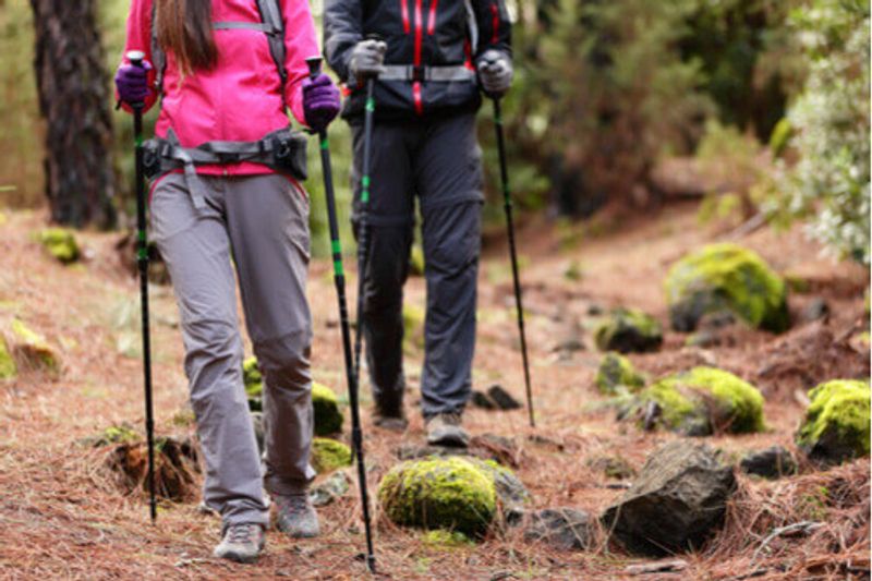 People hiking with walking poles.