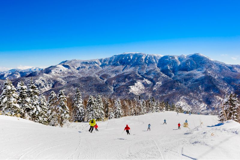 The Shiga Koken Ski Resort in Nagano.