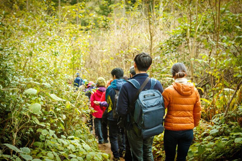 A group of tourists walk through the forest in the Geomunoreum Lava Tubes System in Jeju island, South Korea.