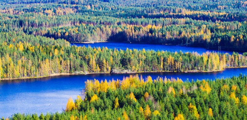 A lush landscape of the forest with lakes in the background in Finland during autumn.