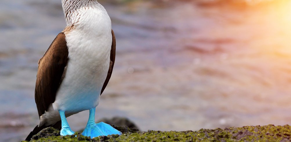 Inspiring Vacations Travel Advice