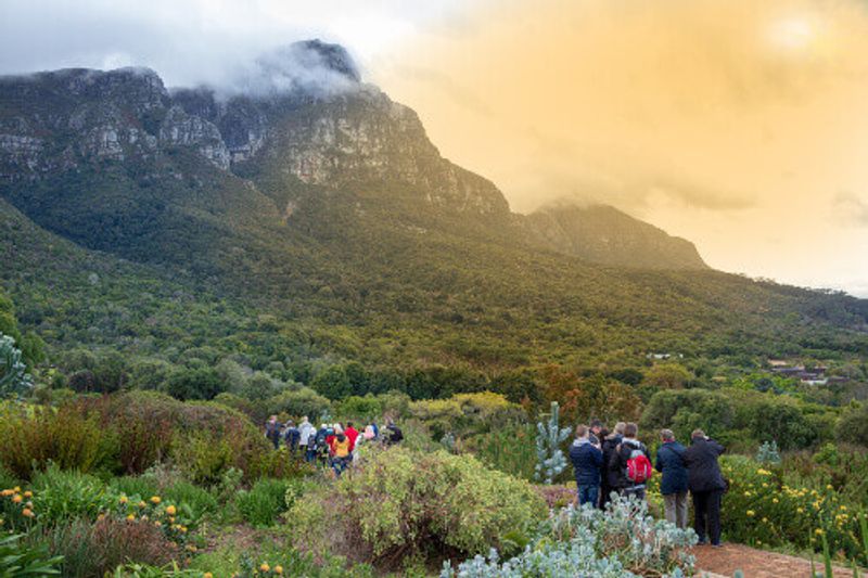The Kirstenbosch Botanical Garden is one of the most beautiful botanical gardens in the world.