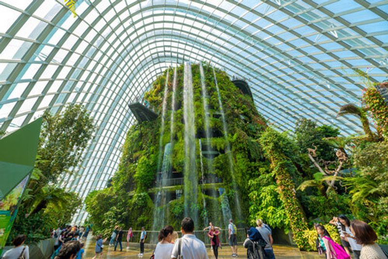 The Cloud Forest dome at Gardens by the Bay