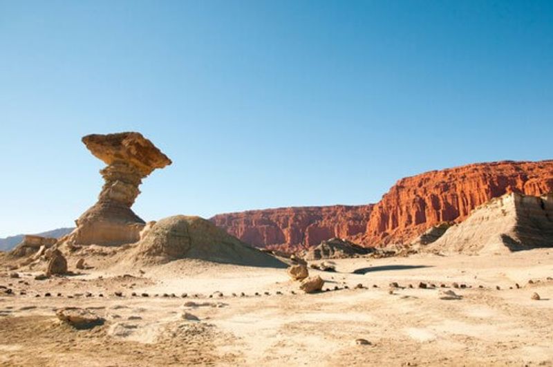 The natural rock formation known as the Mushroom, Ischigualasto.