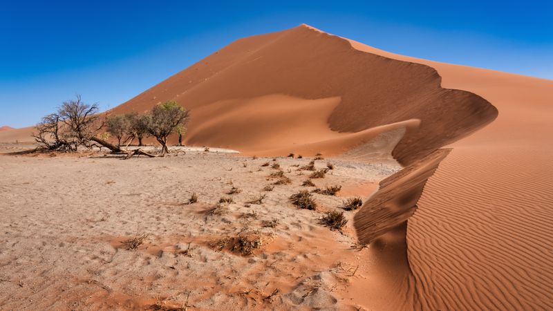 Namib Desert’s Dune 45, one of Namibia’s most iconic sand dunes, known for sunrise hikes and sweeping desert views.