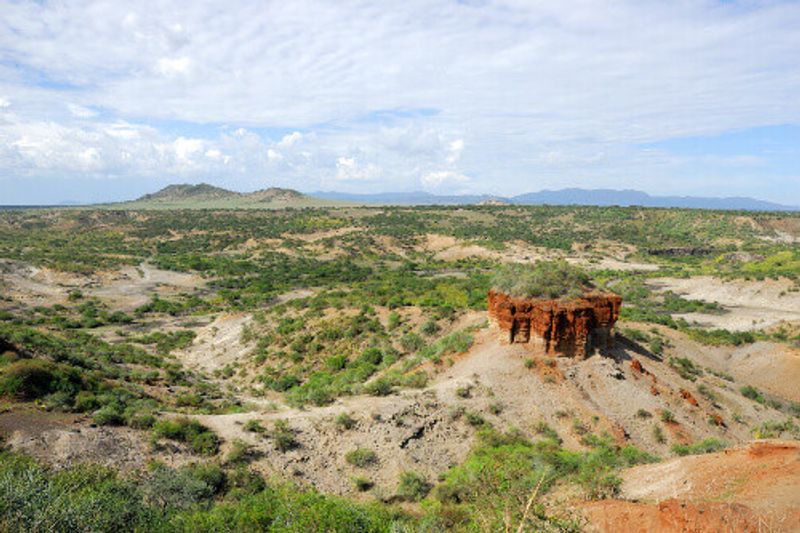 View of Olduvai Gorge, one of the most important paleoanthropological sites in the Cradle of Mankind, Great Rift Valley.