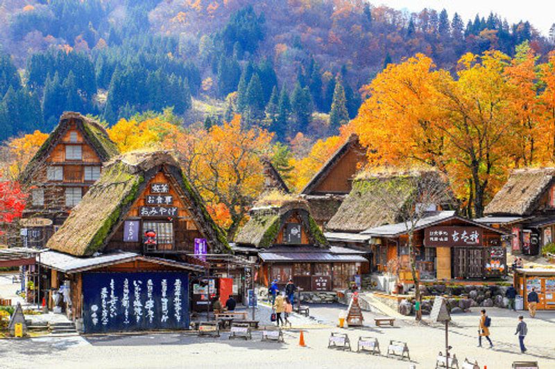 A quaint farming village framed by autumnal colours in Shirakawako, Japan.