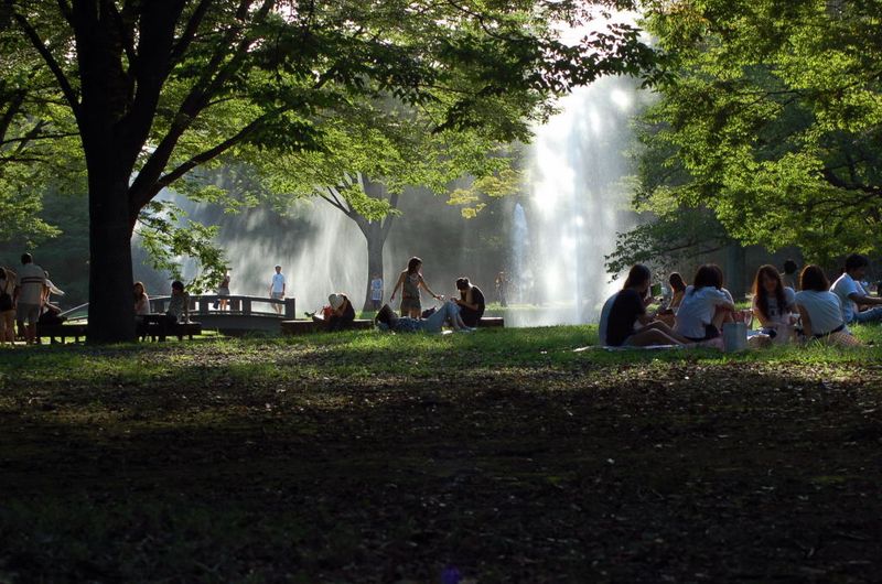 Yoyogi Park (Photo: Tiwi Freeimages/Unsplash)