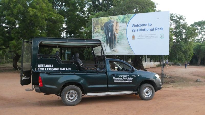 Yala National Park (photo taken by Lynette on tour))