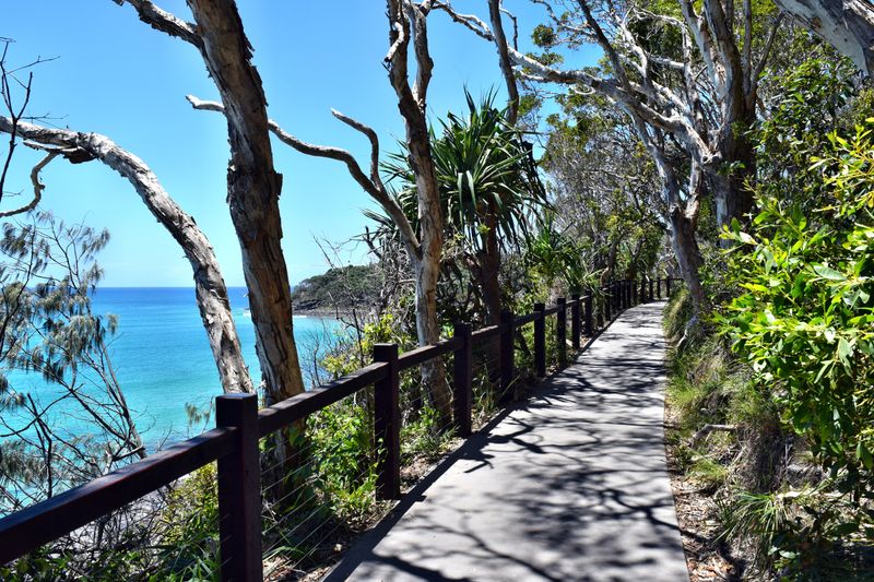 Noosa National Park makes for a spectacular coastal walk.