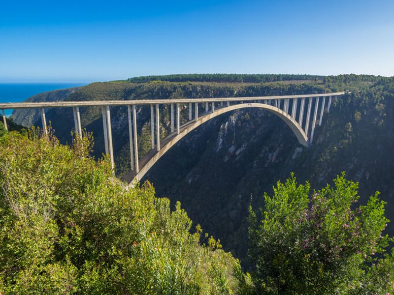 Bloukrans Bridge, South Africa, overlooks a vast, beautiful landscape.