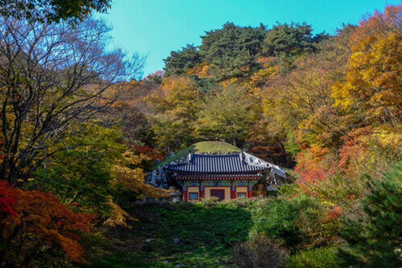 Autumn colors surround the Seokguram Grotto containing a Buddha image in Gyeongju, South Korea.