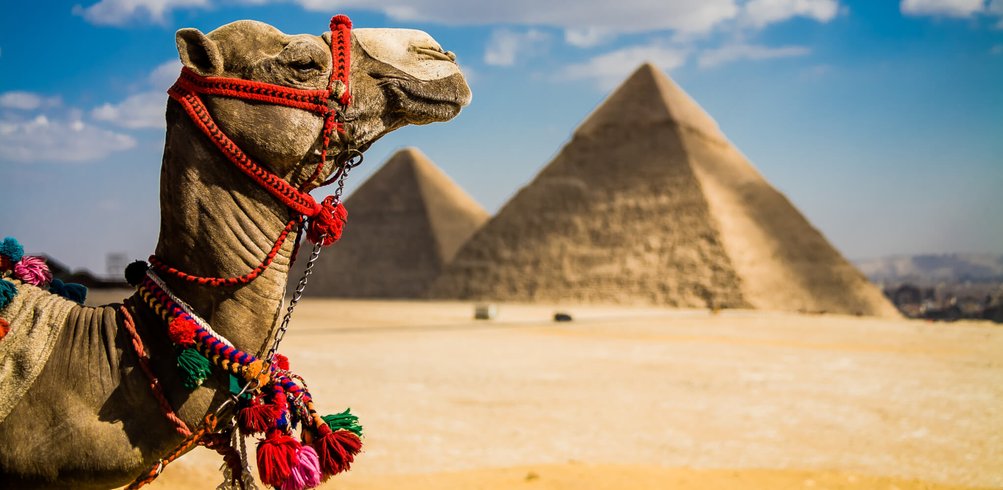 guided tours to egypt