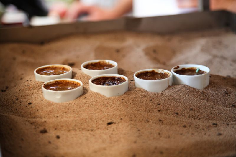 Turkish Coffee's being cooked in hot sand in Aqaba