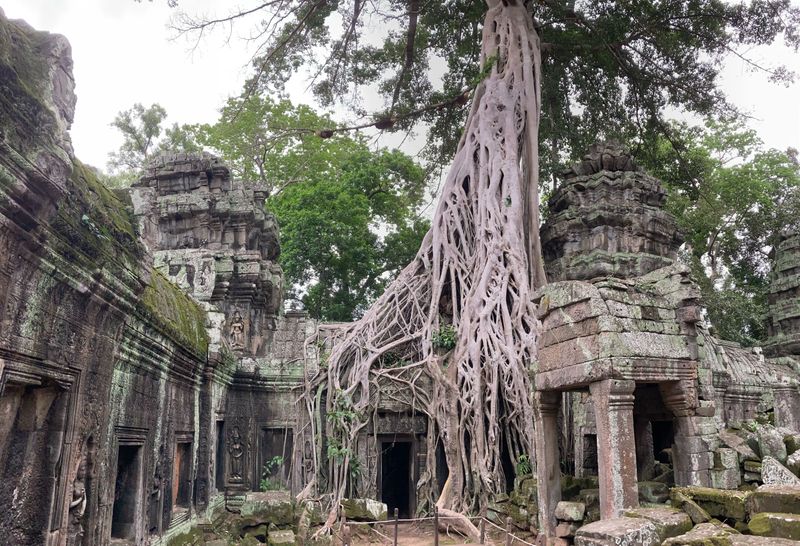 The so-called 'Tomb Raider Temple', Ta Prohm was built in 1186