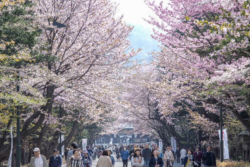 Hokkaido Shrine is a Shinto shrine located in Maruyama Park