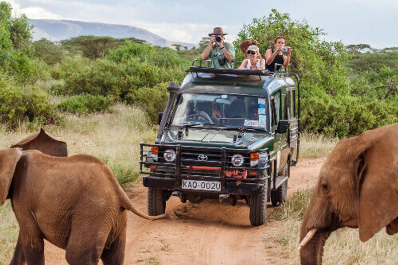 Tourists in an all-terrain vehicle taking photos and exploring the elephants in Masai Mara.