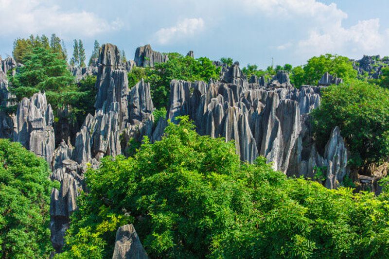 Kistler of the Shilin or the Stone Forests, a scenic spot in Kunming, Yunnan Province.