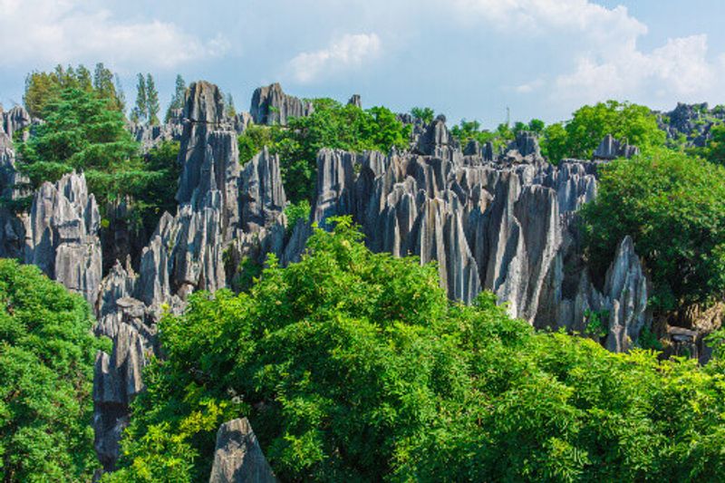 The Stone Forest, a scenic spot in Kunming.